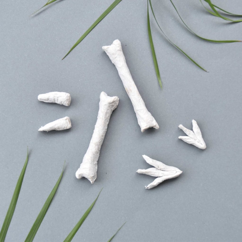 Dinosaurier-Party-Ideen-Knochen-Dinoparty-basteln