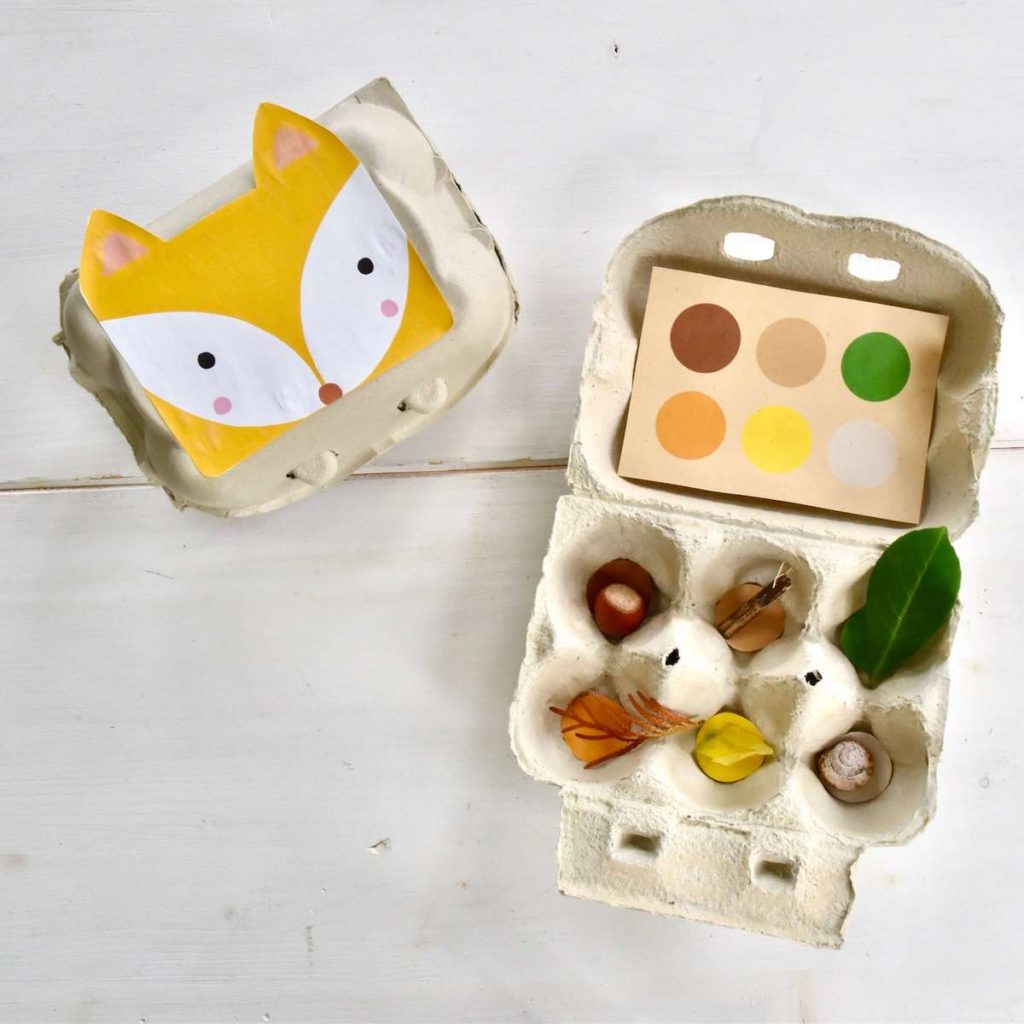 naturbingo-aus-eierkarton-basteln-vorlagen-heimatdinge