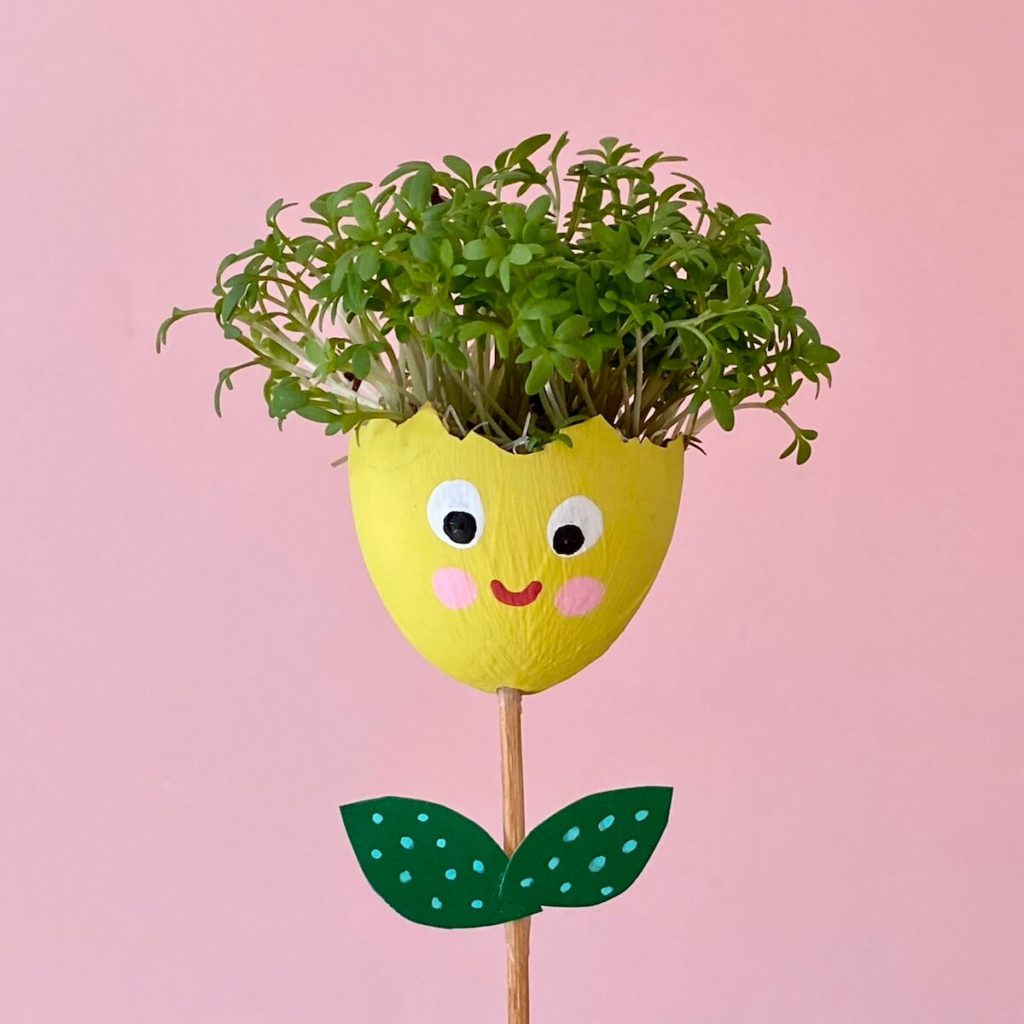 fruehling-im-kindergarten-basteln-kresse-blume-aus-eierschale-basteln