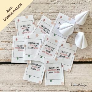 glückskekse-basteln-diy-geschenk