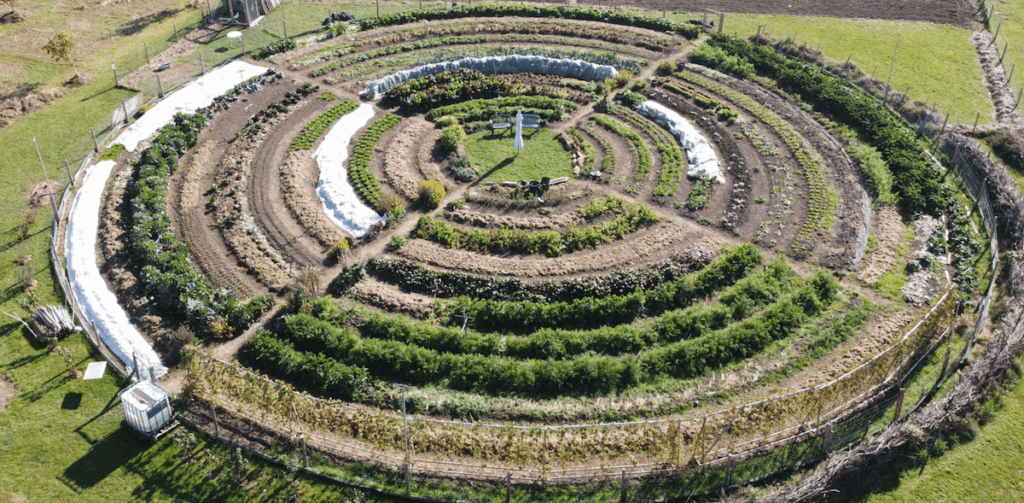 Gelände SoLaWi Bad Grönenbach