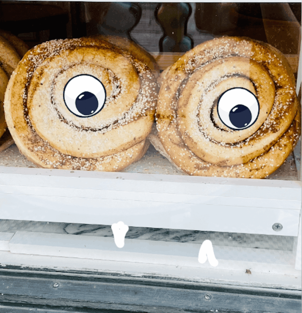 Zimtschnecken in Haga Schweden