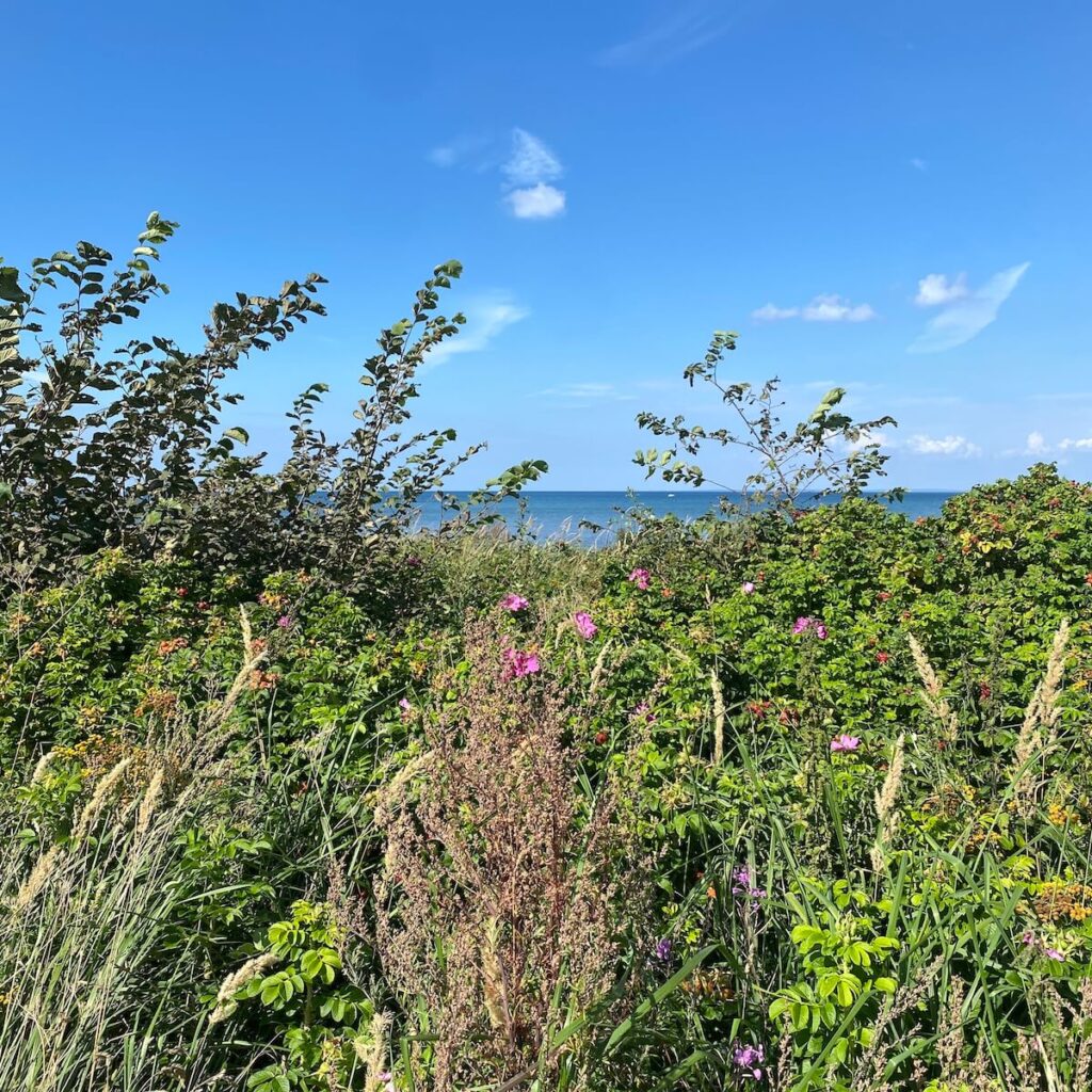 Schweden Strand bei Laholm