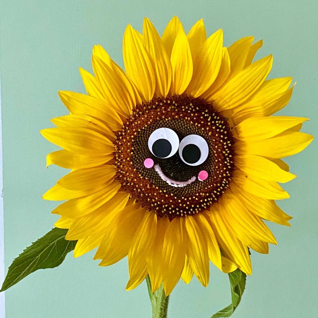 Sonnenblume mit Augen