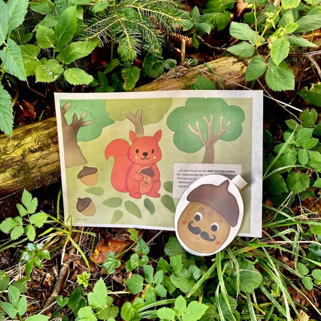 Aufgabe Waldschatzsuche mit Eichhörnchen
